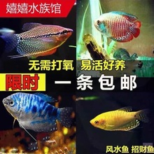 �����~���w��С���~�Ꭷ�^�p�~��ˮ�~���֌����ͻ��{�Ե����x