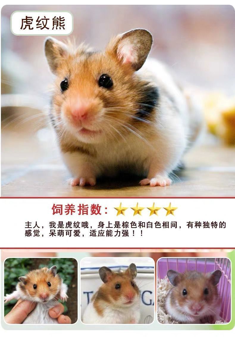 5ed6da1d-1ad7-4fc3-968d-aa1524946f89.jpe