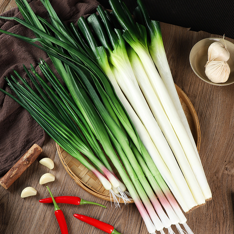 Simulation onion PU fake green onion model Vegetable
