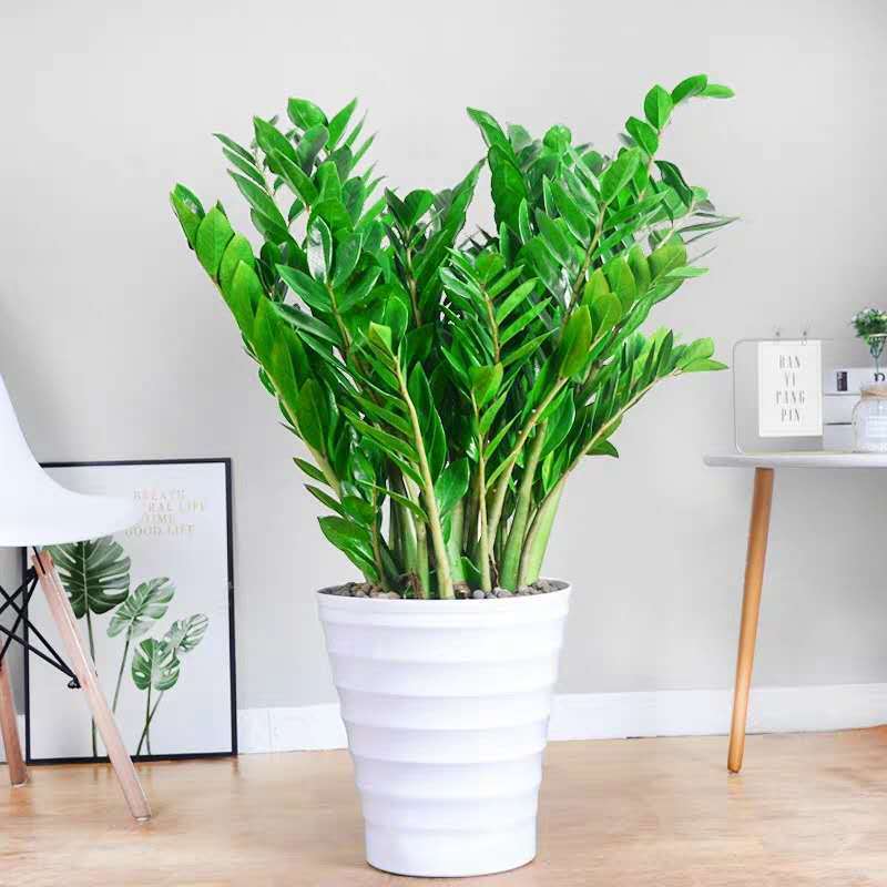 gm6WifKnzdTvlDvQUnfWcwiuU1ozUdwW36xp