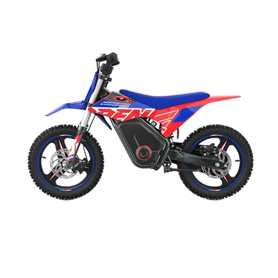 Two-Wheel Off-Road Electric Motorcycle, Elektrikli motosikletlər