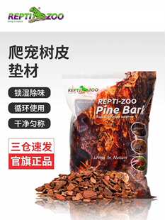 ɭ�ֵر�������Ƥ�|������������ת{���x���쾰����