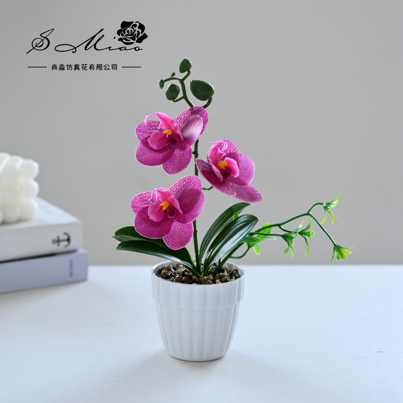 Simulación de flores pequeñas cuatro flores orquídeas mariposa fábrica de bonsai directamente para flores artificiales adornos de decoración interior flores de seda imitación en maceta image 15