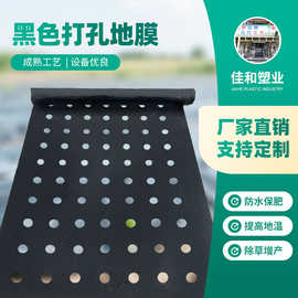 黑色打孔地膜除草增产保温栽培苗用黑色塑料农膜 多功能地膜