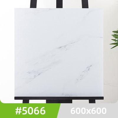 5066#점장 추천 (600*600/개)