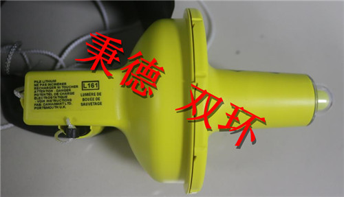 销售Daniamant 救生圈灯  L161