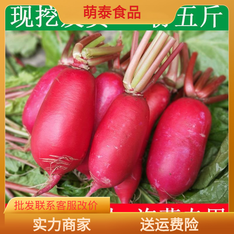 四川农家自种红皮萝卜白心新鲜应季蔬菜水胭脂脆甜现拔发货5斤装