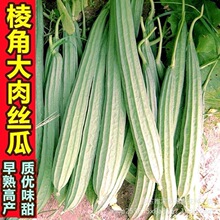 ������ǽz�ϷN�Ӱ˽�ˮ�ϷN�ѻ��c�z���ļ��̨ͥԺ�߲˷N��