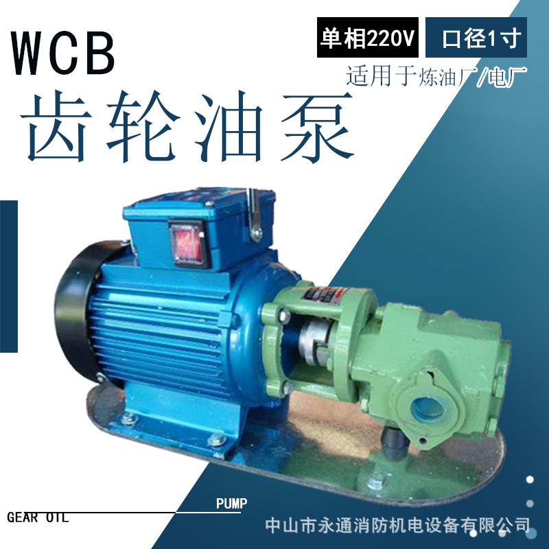 WCB-75润滑机齿轮油胶水油漆输送设备手提式电动油泵单相220v1寸