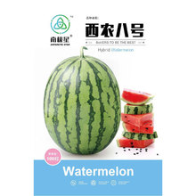 西农八8号西瓜种子种籽孑早熟南方高产特大春季秧苗嫁接超甜