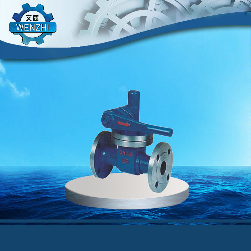 Z44H快速排污闸阀 铸钢快速排污闸阀厂家供应