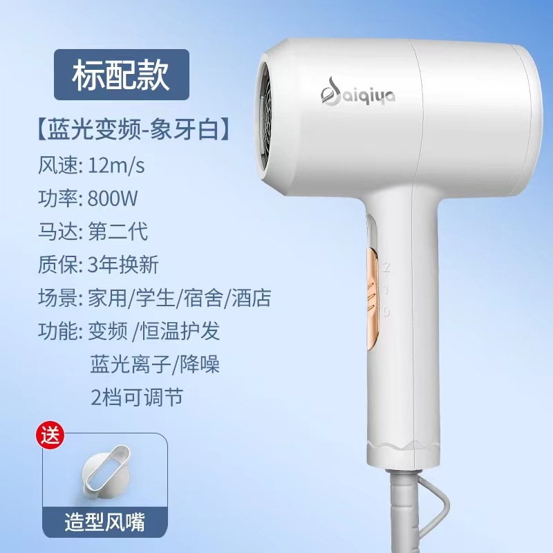 Powerful Hair Dryer