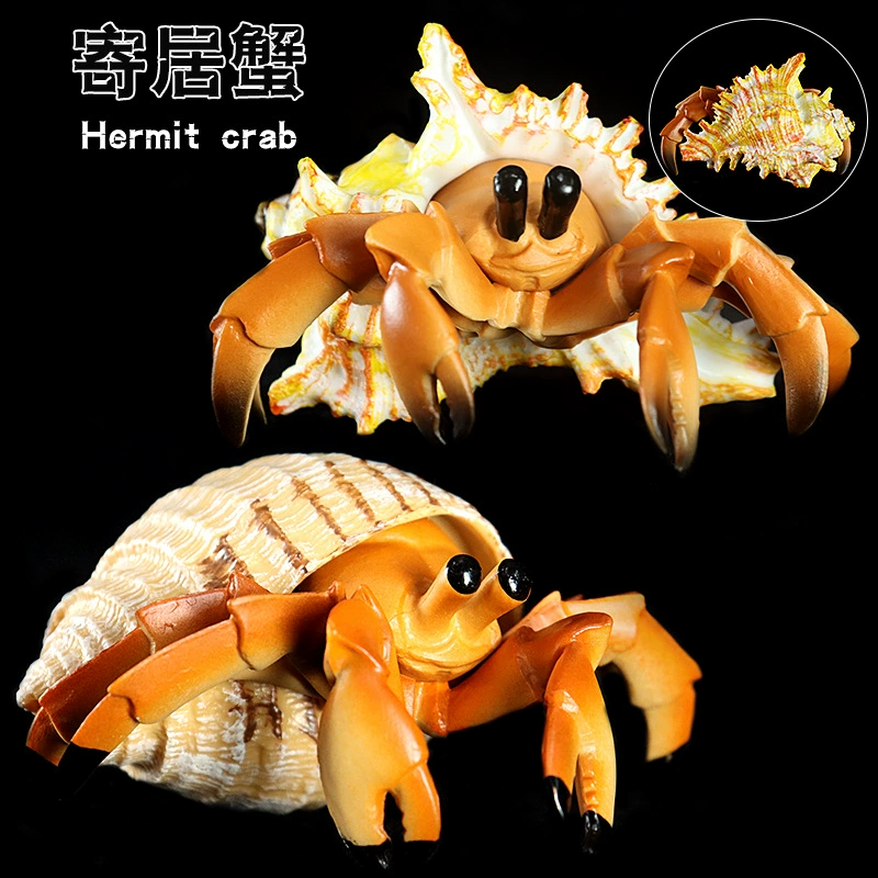 Игрушка, большие морские когнитивные украшения