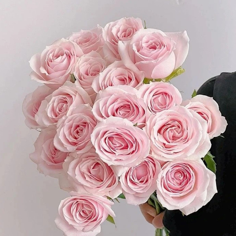 玫瑰花鲜花云南昆地批直发百合向日葵红豆家用鲜切水养插绢花|undefined