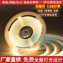 cob�􎧸���12V24V��ճ�X�۵͉�ܛ���l���l���������Ο�LED ��