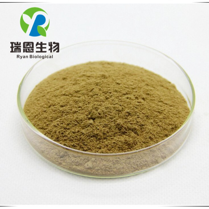 金缕梅提取物检测原料萃取比例植物产品20:1TLC天然高含量