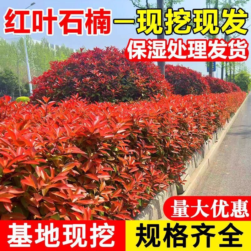 ���t�~ʯ骡�ͥԺ�G���ļ��L�����Ԙ������Լt�_�e�t�~ʯ骻h����