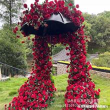 ���˹��W�t�Fˇ�������r��õ���ٲ����ﻨ���մ�������Y����