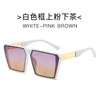 Fashionable trend sunglasses, glasses, 2023 collection