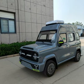 其他电动车;电动三轮车;电动代步车