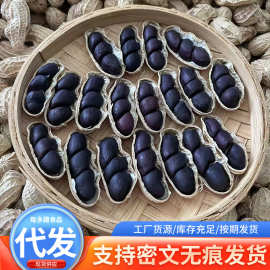 一件代发黑花生新货带壳黑花生晒干特产500g黑皮花生米原味