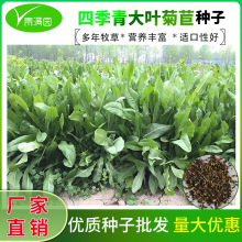 ���~���ĲݷN�ѷN�Ӵ��~��܊�����ļ��Bֳ������ţ�Z�u���~�÷N��