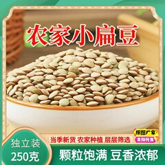 新入荷 小粒レンズ豆 農家レンズ豆粥 250g 緑レンズ豆 ビーンズ 生もやし 雑穀バルク 甘粛省特産品