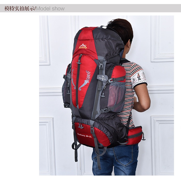 Travel sports backpack