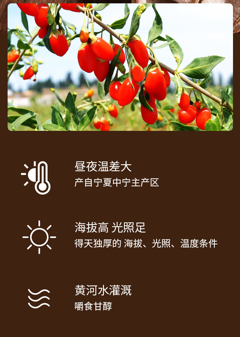 Ningxia Premium First Harvest Goji Berries Dried Red Wolfberry Ready to Use 100g Bag quality and texture