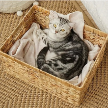 ˮ���J�ݾ���؈�C �ݾ��ռ{�� �����r������ ˮϴ�ݾ�����C