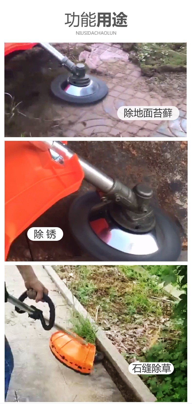 16405966641_297358734