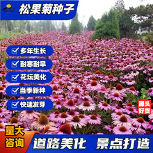 �ɹ��ջ��N�ӈ@�ֵ�·���^�����ļ��N�_���׻�������޸��ͺ�����