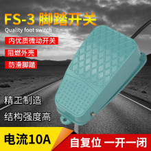 ̤ FS-3Ըλ ̤20cm 250V