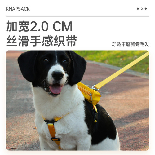 Wholesale New Pet Backpack Fashion Cartoon Colorful Outdoor Travel Cat and Dog Golden Retriever Portable High-Quality