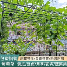 �����ټܑ���Ժ�� ���ѼܗU ������� ͥ���Ѽ��ӽM�b ���پW����