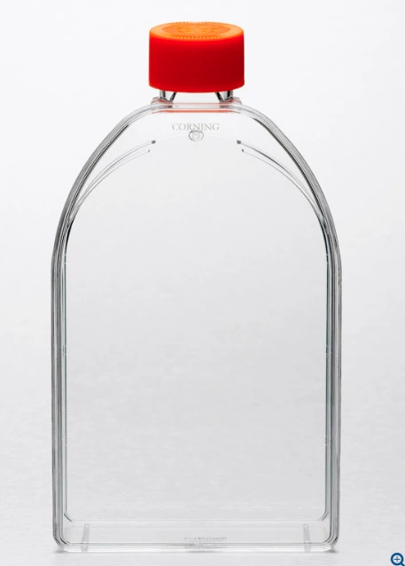 150см2TC поверхность прямоугольная наклонная горловина оптом Corning/Corning номер товара 430825