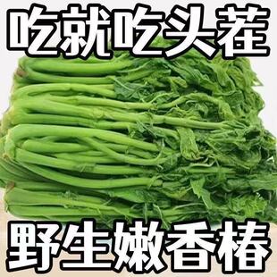 �㴻ѿ�̲�ɽ�|�خa�㴻ѿ������r�r�������}�n�㴻�u���̲�