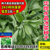 Huayu Crystal Ice Vegetable Seeds Manufacturer wholesale Ice Grass Seed Seeds Garden Four Seasons Easy -to -grow Balcony Potted Vegetables