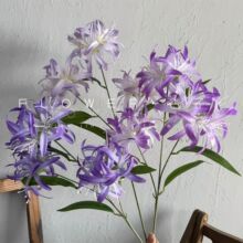 3�^���滨����ɳ�A�L���m���L�h����˰���ܛ�b�����bzӰ����