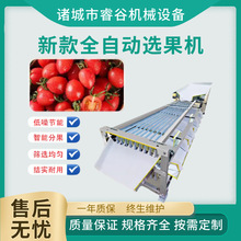 新款选果机圣女果分拣机荔枝分级分选筛选机杨梅轨道李子分选机