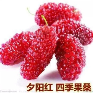 Ϧꖼt̨���L��ɣ�玧���޽�ɣ�ؘ���o�Ѻ�ɣ�����ļ��_���Y����