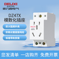 德力西电气DZ47X导轨式插座模数化AC30配电箱2插3插