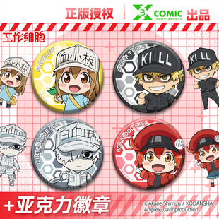 �ǰع�������ѪС������ǻ��e��������ٿ����������Ȥ����