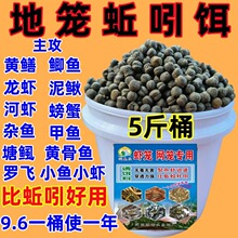 ��������ͺ��w���r�\���~�W�\�S�X�T�Dץ���r���r���q�S�X�~�D��