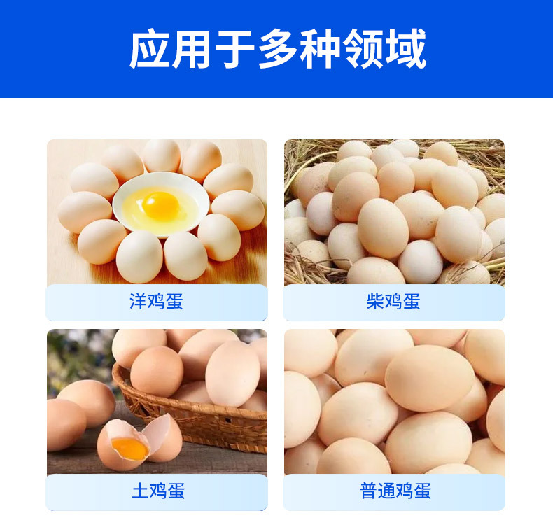套版---鸡蛋托_18.jpg