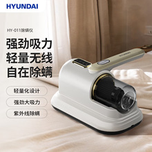 HYUNDAI�F���xHY-011