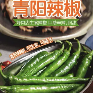 山东正宗青阳辣椒新鲜采摘绿色绿辣椒生食腌渍辣椒辣味足新鲜青椒