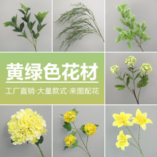 �¿��S�Gɫ��c���滨�û���Y���Ż����đ�����ꐈ������üٻ�