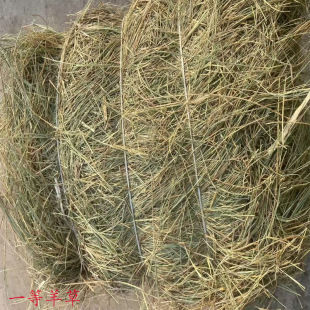 25��һ������R�����|�� ţ���R����@�øɲ�����