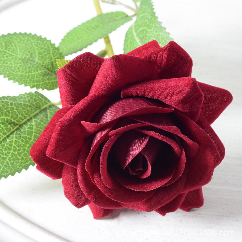 Aisha rosa vino rojo